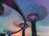 New Architect Digest 2022